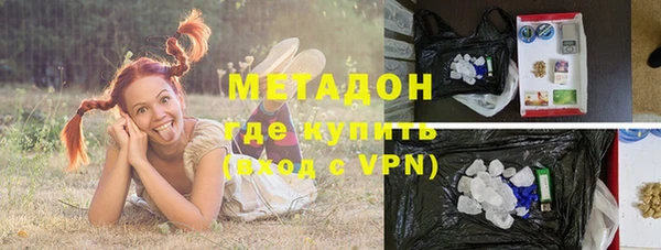прущие грибы Волоколамск
