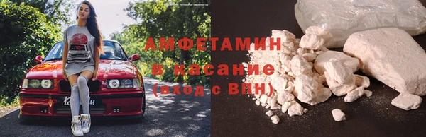 прущие грибы Волоколамск