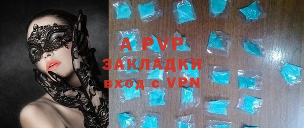 прущие грибы Волоколамск