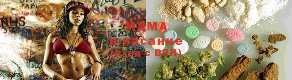 прущие грибы Волоколамск