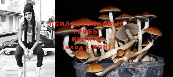 прущие грибы Волоколамск