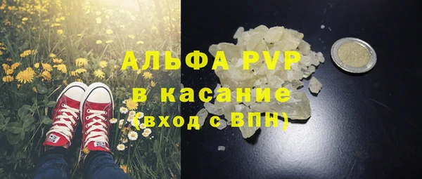 прущие грибы Волоколамск