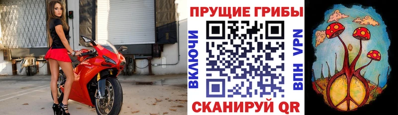 Галлюциногенные грибы прущие грибы  Муром 