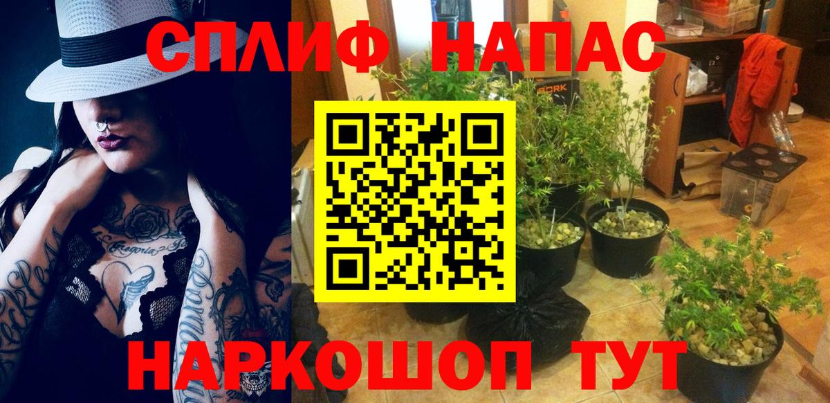 Бошки марихуана Bruce Banner  Вход с VPN  Шишки марихуана LSD WEED  Муром 